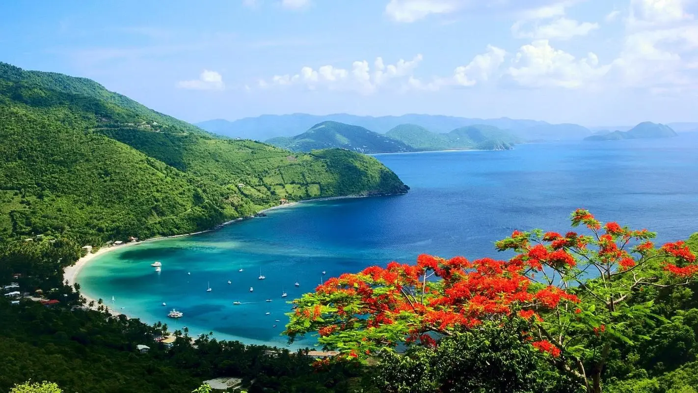 智能系统科技工业